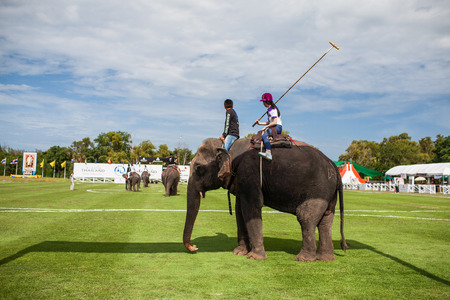 HUA HIN, THAILAND - AUGUST 28: Unidentified polo players at  elephant polo games during the 2013 King 's Cup Elephant Polo match on August 28, 2013 at Suriyothai Camp in Hua Hin, Thailand.のeditorial素材