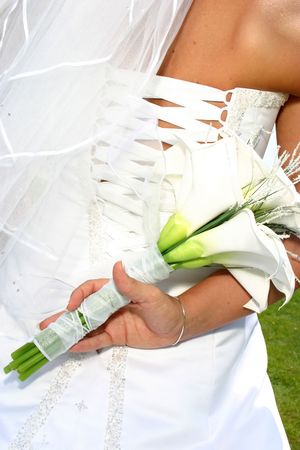 Back of wedding dressの写真素材