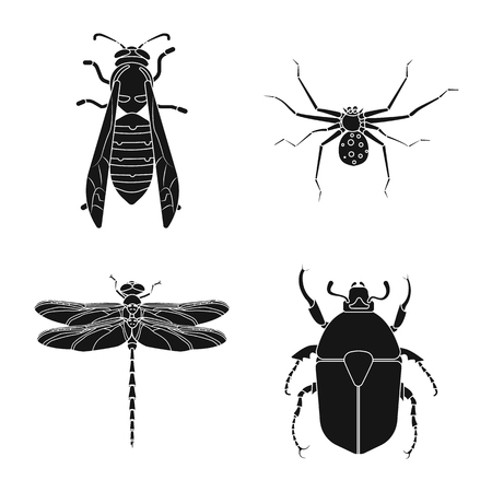Vector design of insect and fly symbol. Set of insect and element stock symbol for web.のイラスト素材
