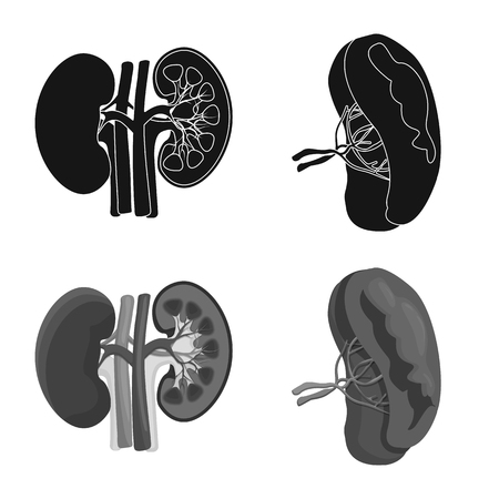 Isolated object of body and human sign. Set of body and medical vector icon for stock.のイラスト素材