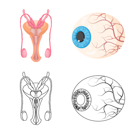 Vector design of body and human sign. Collection of body and medical stock vector illustration.のイラスト素材