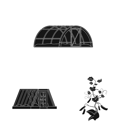 Vector illustration of greenhouse and plant sign. Collection of greenhouse and garden vector icon for stock.のイラスト素材