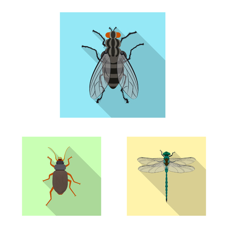 Vector design of insect and fly icon. Collection of insect and element stock vector illustration.のイラスト素材
