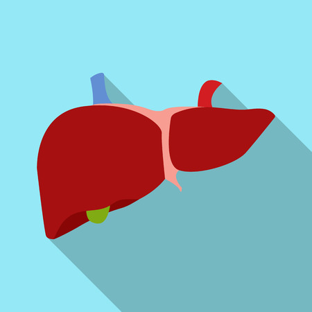 Vector illustration of body and human sign. Set of body and medical vector icon for stock.のイラスト素材