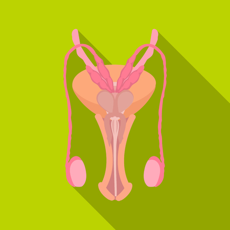 Vector design of body and human icon. Collection of body and medical vector icon for stock.のイラスト素材