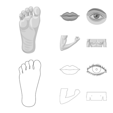 Vector design of human and part sign. Collection of human and woman vector icon for stock.のイラスト素材