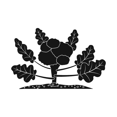 Isolated object of greenhouse and plant logo. Collection of greenhouse and garden bitmap icon for stock.の写真素材