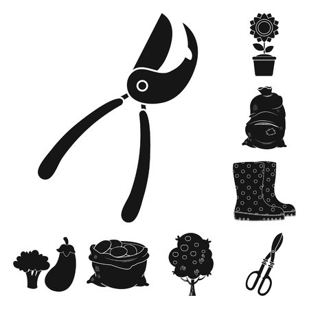 Isolated object of farm and agriculture logo. Set of farm and plant stock vector illustration.のイラスト素材