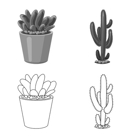 Vector illustration of cactus and pot icon. Collection of cactus and cacti stock symbol for web.のイラスト素材