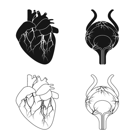 Vector illustration of body and human symbol. Set of body and medical stock symbol for web.のイラスト素材
