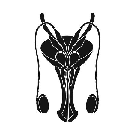Vector illustration of body and human logo. Collection of body and medical vector icon for stock.のイラスト素材