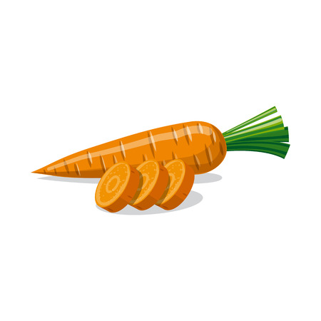 Isolated object of vegetable and fruit symbol. Collection of vegetable and vegetarian stock vector illustration.のイラスト素材
