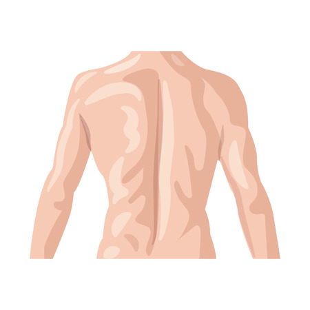 Vector illustration of human and part logo. Set of human and woman stock vector illustration.のイラスト素材