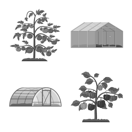 Vector design of greenhouse and plant symbol. Set of greenhouse and garden vector icon for stock.のイラスト素材