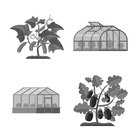 Isolated object of greenhouse and plant logo. Collection of greenhouse and garden stock vector illustration.のイラスト素材
