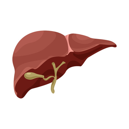 Vector illustration of body and human symbol. Collection of body and medical stock vector illustration.のイラスト素材