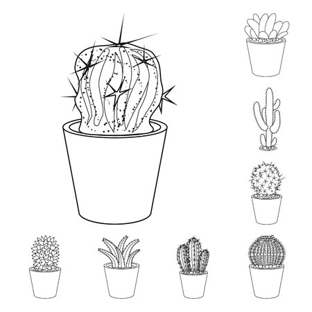 Vector design of cactus and pot logo. Collection of cactus and cacti vector icon for stock.のイラスト素材