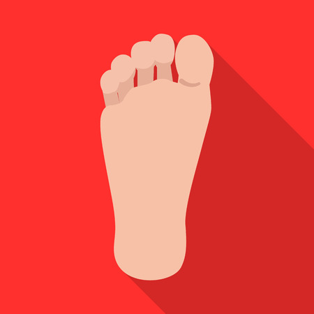 Vector design of human and part icon. Collection of human and woman stock vector illustration.のイラスト素材