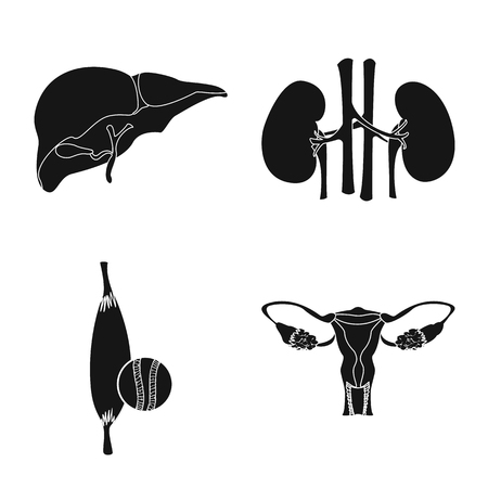 Vector illustration of body and human symbol. Set of body and medical vector icon for stock.のイラスト素材