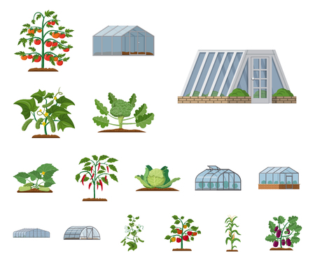 Isolated object of greenhouse and plant symbol. Collection of greenhouse and garden stock symbol for web.のイラスト素材