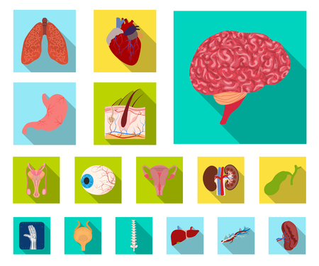 Isolated object of body and human sign. Collection of body and medical vector icon for stock.のイラスト素材