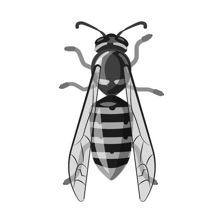 Vector illustration of insect and fly sign. Collection of insect and element stock vector illustration.のイラスト素材