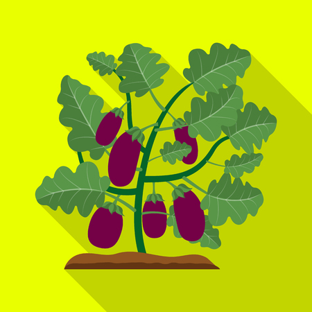 Vector design of greenhouse and plant icon. Set of greenhouse and garden vector icon for stock.のイラスト素材