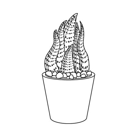 Isolated object of cactus and pot icon. Set of cactus and cacti stock vector illustration.のイラスト素材