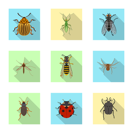 Vector design of insect and fly sign. Set of insect and element stock vector illustration.のイラスト素材