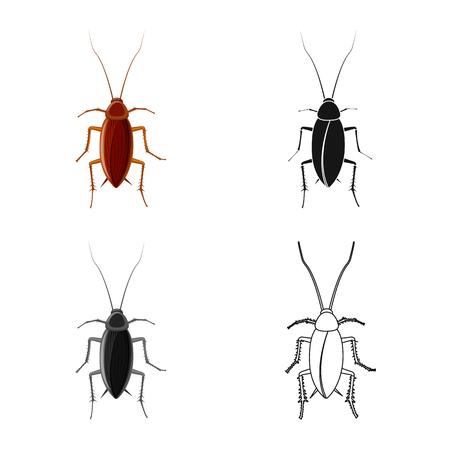 Vector illustration of insect and fly sign. Set of insect and element stock symbol for web.のイラスト素材