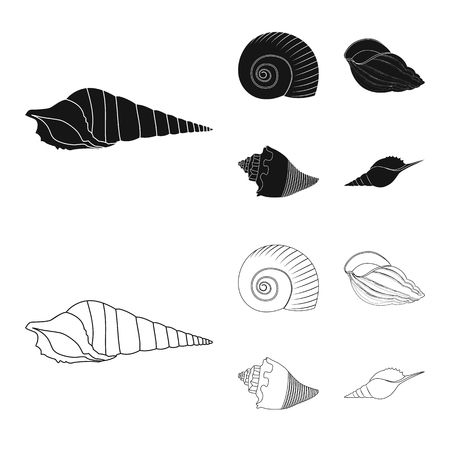 Vector illustration of animal and decoration icon. Set of animal and ocean stock vector illustration.のイラスト素材