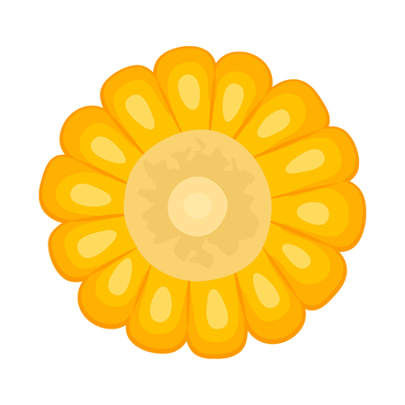 Vector design of corn and cob. Set of corn and hot stock symbol for web.のイラスト素材