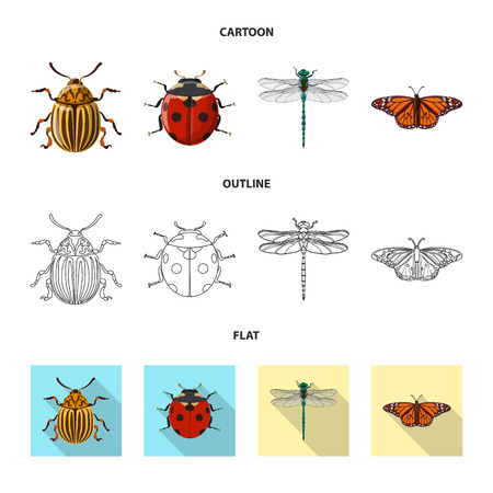 Vector illustration of insect and fly sign. Collection of insect and element stock symbol for web.のイラスト素材