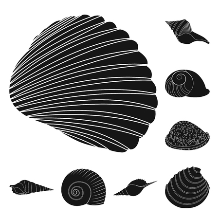 Isolated object of nature  and ocean symbol. Set of nature  and mollusk vector icon for stock.のイラスト素材