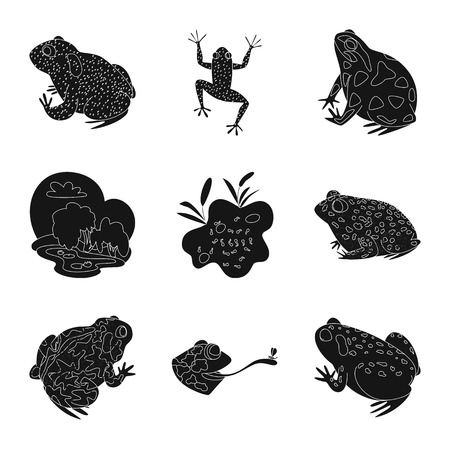 Vector design of fauna and reptile icon. Collection of fauna and anuran vector icon for stock.のイラスト素材