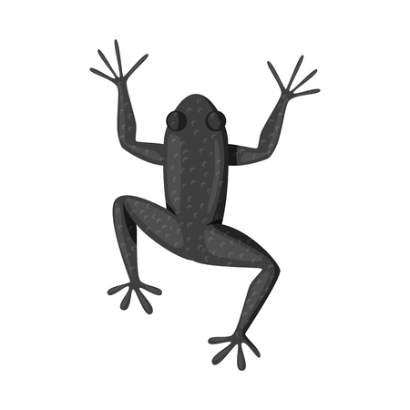 Isolated object of toad and green logo. Set of toad and toxic vector icon for stock.のイラスト素材