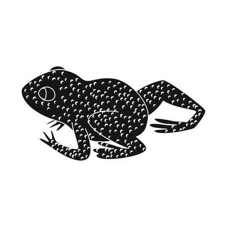 Vector design of toad and yellow symbol. Collection of toad and rainforest vector icon for stock.のイラスト素材