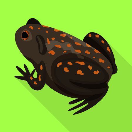 Isolated object of toad and tropical logo. Set of toad and ecology stock vector illustration.のイラスト素材