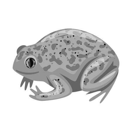 Vector design of toad and tropical icon. Set of toad and green stock symbol for web.のイラスト素材