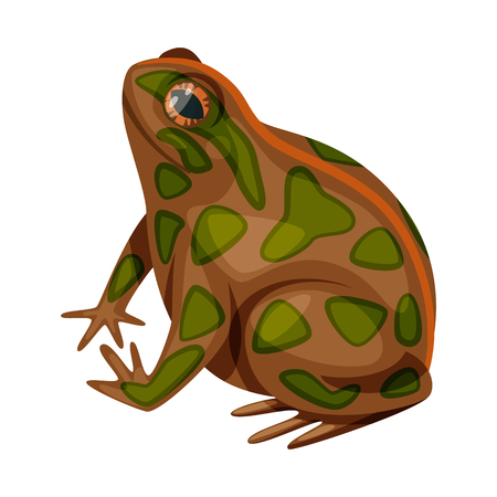 Vector design of toad and biology logo. Set of toad and tropical stock symbol for web.のイラスト素材