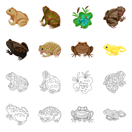 Vector illustration of wildlife and bog logo. Set of wildlife and reptile stock symbol for web.のイラスト素材
