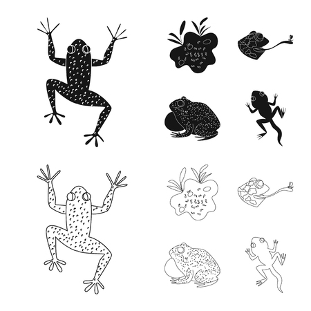Vector design of wildlife and bog symbol. Collection of wildlife and reptile stock vector illustration.のイラスト素材