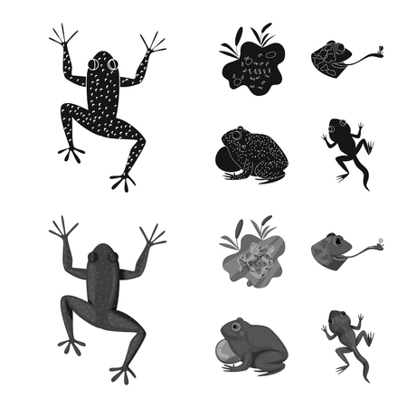Vector illustration of wildlife and bog symbol. Set of wildlife and reptile stock symbol for web.のイラスト素材