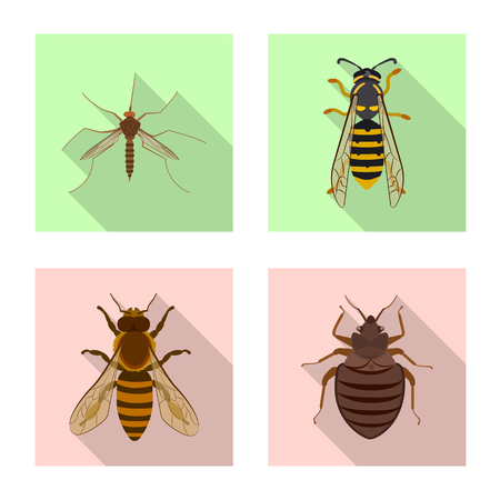 Isolated object of insect and fly sign. Collection of insect and element stock vector illustration.のイラスト素材