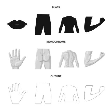 Vector illustration of human and part sign. Collection of human and woman stock symbol for web.のイラスト素材