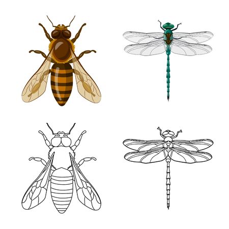 Isolated object of insect and fly logo. Collection of insect and element stock symbol for web.のイラスト素材
