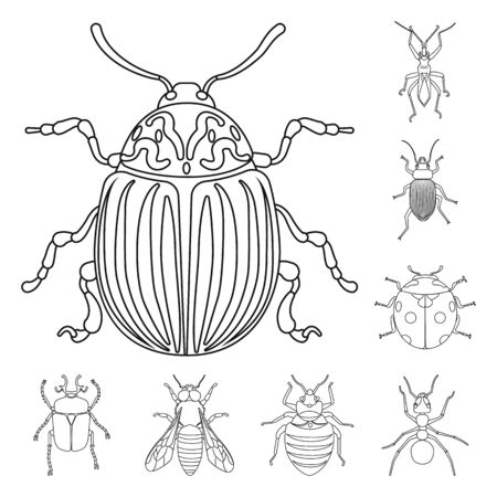 Vector illustration of insect and fly icon. Collection of insect and element stock symbol for web.のイラスト素材