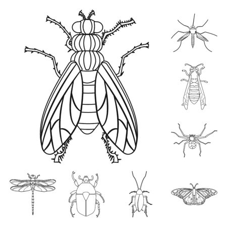 Vector illustration of insect and fly symbol. Collection of insect and element stock vector illustration.のイラスト素材