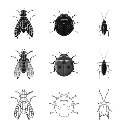 Isolated object of insect and fly icon. Set of insect and element stock symbol for web.のイラスト素材