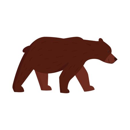 Vector illustration of bear and brown icon. Collection of bear and animal stock symbol for web.のイラスト素材